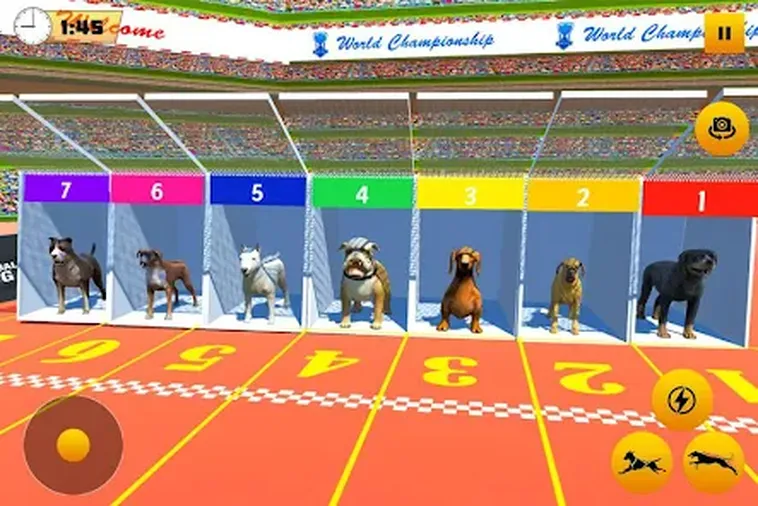 Bí Quyết Chơi Game Đua Chó Tại HCM66 Thắng Lớn Trong 5 Phút 2 Bí Quyết Chơi Game Đua Chó Tại HCM66 Thắng Lớn Trong 5 Phút