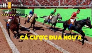 Bí Quyết Cá Cược Đua Ngựa HCM66 Giúp Bạn Thắng Lớn 6 Bí Quyết Cá Cược Đua Ngựa HCM66 Giúp Bạn Thắng Lớn