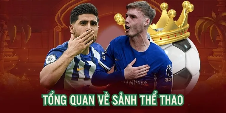 Khám Phá Thế Giới Thể Thao HCM66 Kèo Cược Bất Tận